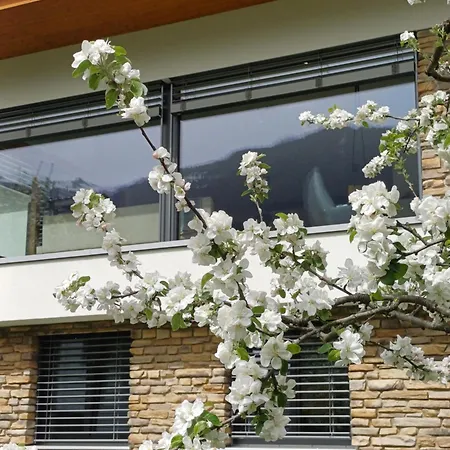 Appartement Raich Vandans